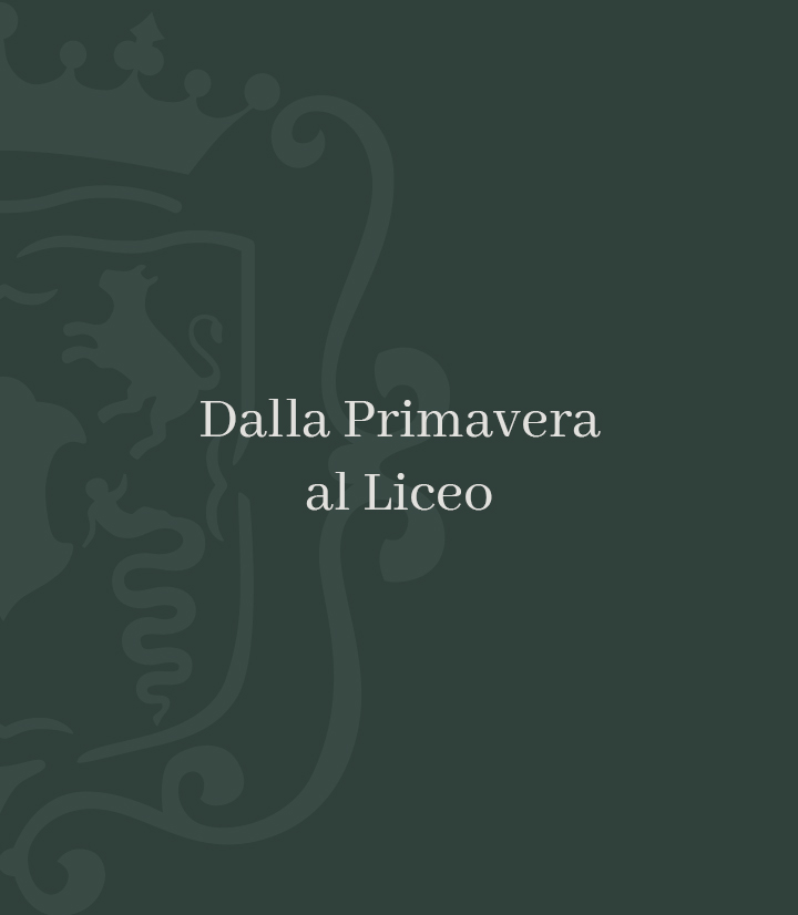 Scopri le nostre scuole